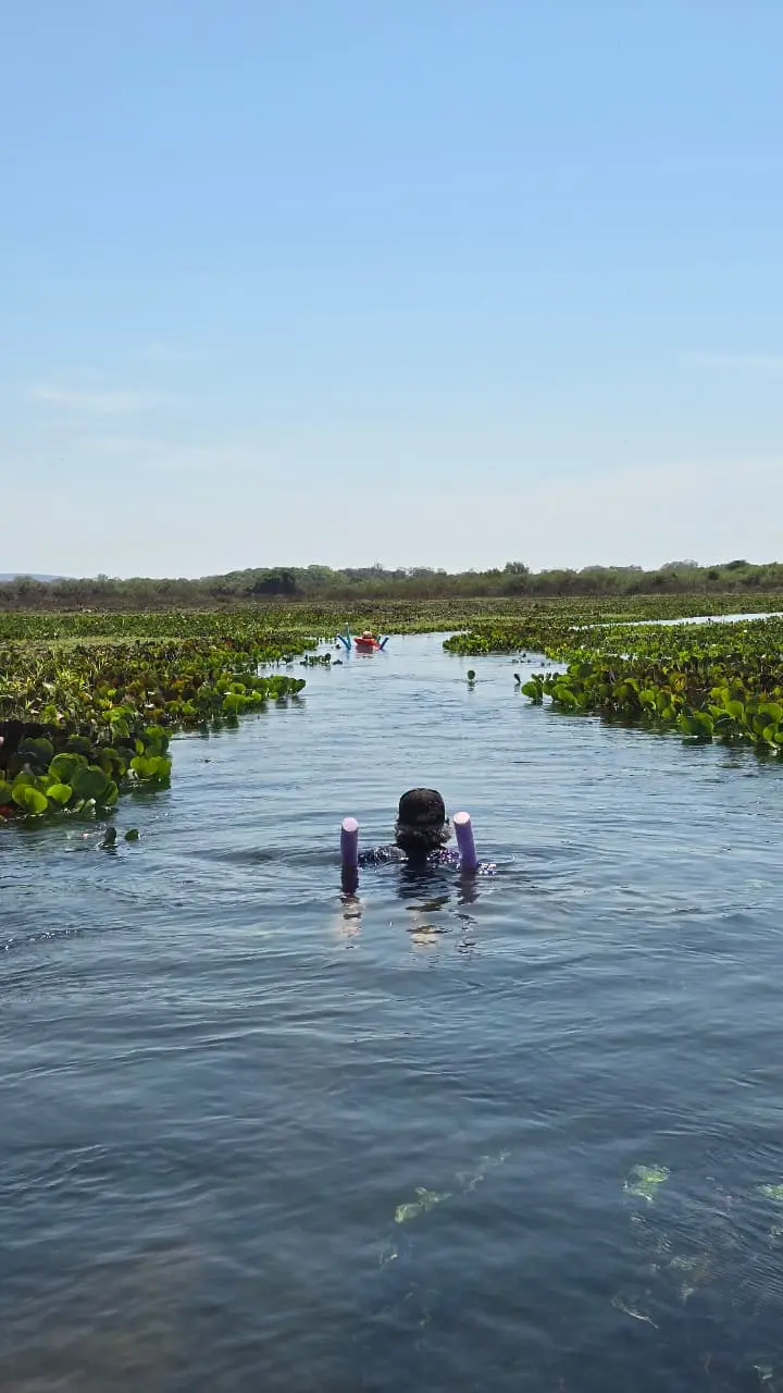 Pantanal Mineiro