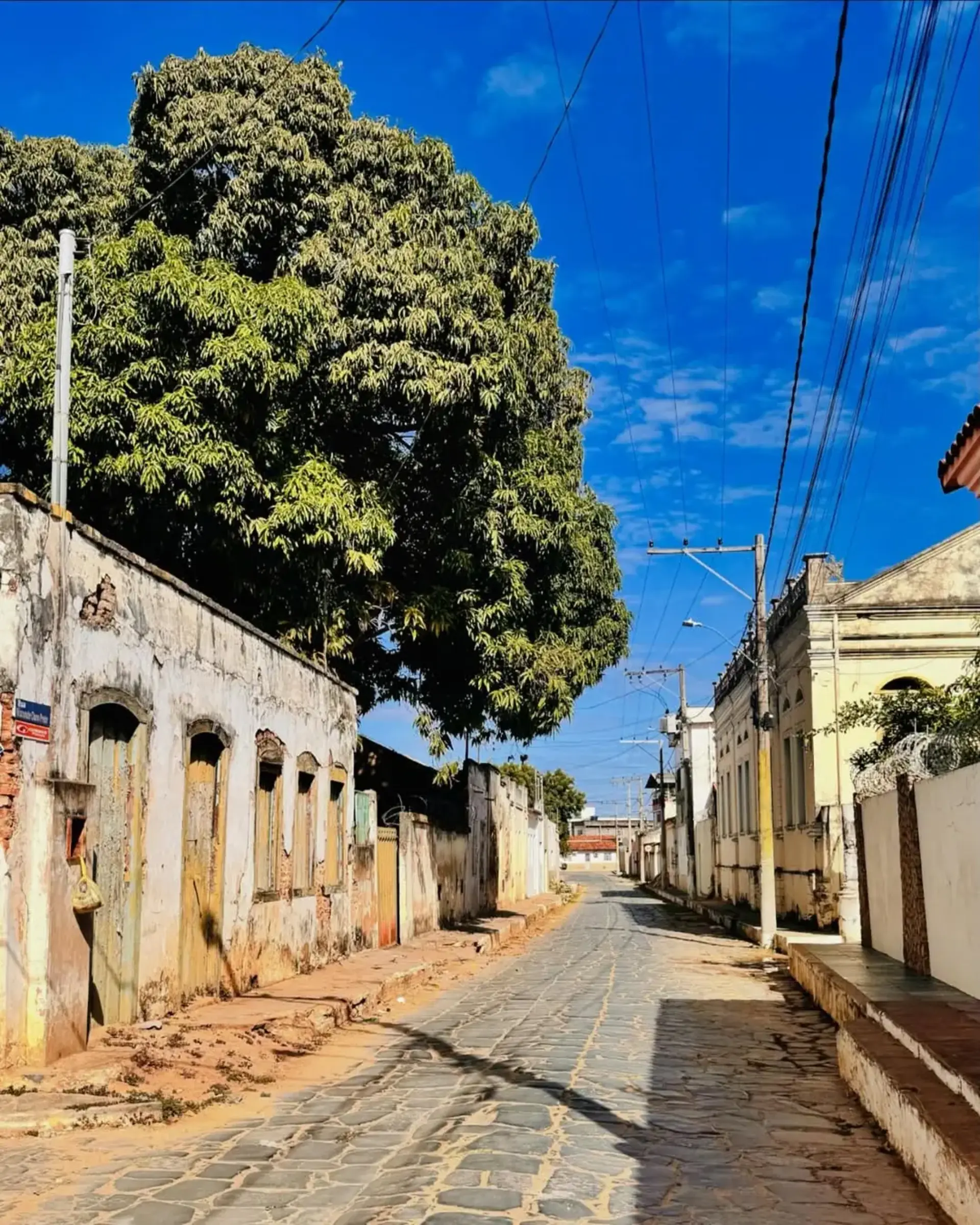 Foto 4 da Rua da Cultura